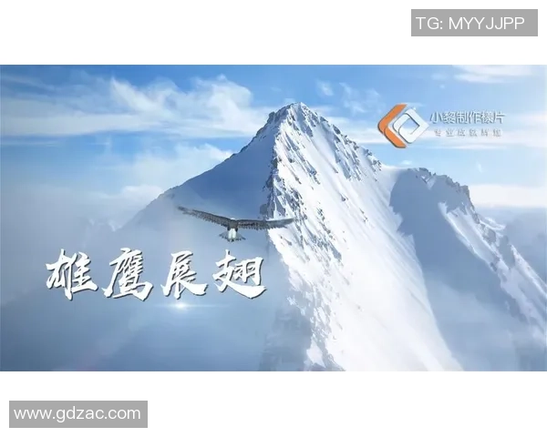 武汉羽毛球队的辉煌征程与大满贯梦想的追逐之路